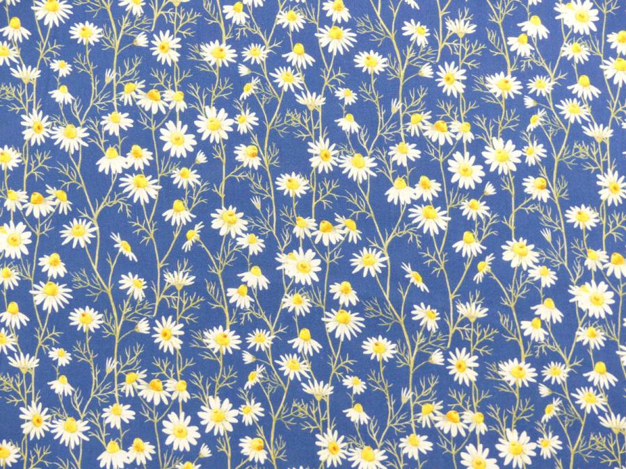 Preview: Hedgehog Hollow Blumen Gänseblümchen Daisies blau von In the Beginning